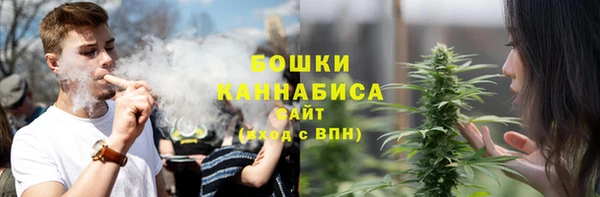 ГАЛЛЮЦИНОГЕННЫЕ ГРИБЫ Балабаново