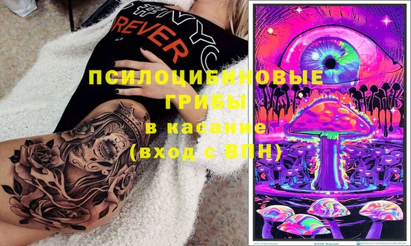 тгк Михайлов