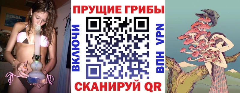 купить сайты Калининец Галлюциногенные грибы Magic Shrooms